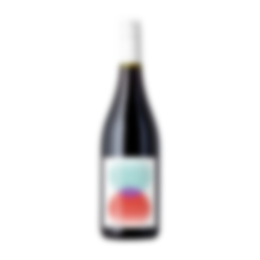 2023 Reintegration Pinot Noir