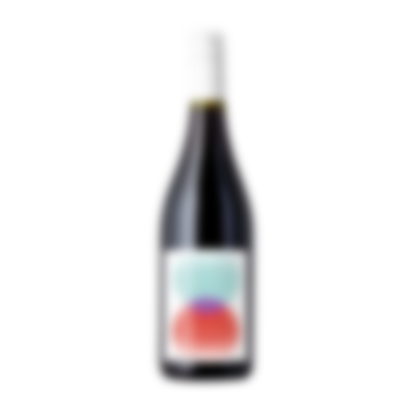 2023 Reintegration Pinot Noir