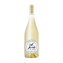 2023 Ville Basse Sauvignon Blanc