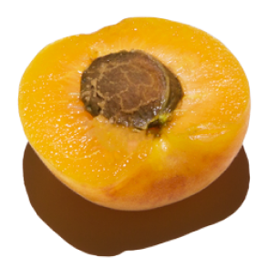 Apricot