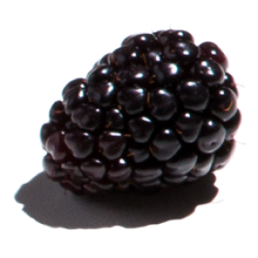 Blackberry