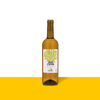 2022 Sous L'Ocean Sauvignon Blanc France