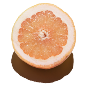 Pink Grapefruit