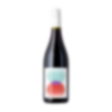 2023 Reintegration Pinot Noir