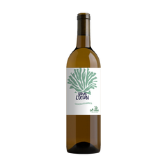 2024 Sous L'Ocean Sustainable Gewürztraminer