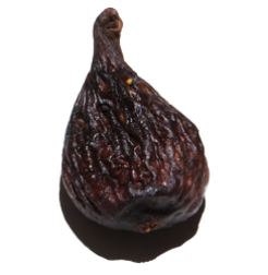 Fig