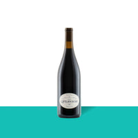 2020 L'Atelier du Sud® Gamay Vin de France